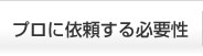 プロに依頼する必要性